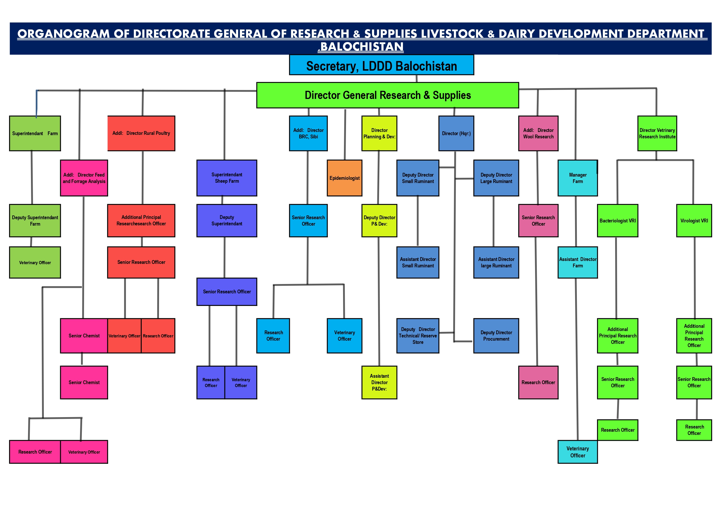 coloured Final all three Directorate Organogram _page-0003.jpg